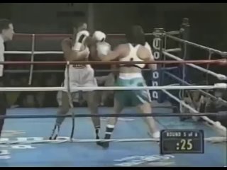 laila ali vs christine robinson