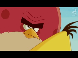 angry birds | angry birds toons | episode 20 | 2013
