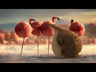 very funny cartoon))) rollin safari - flamingos 2013