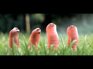 funny cartoon about worms autocrash :) crazy worms