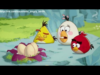 angry birds / angry birds - episode 5 hd (egg sounds - sounds of eggs)